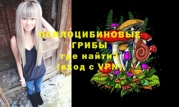 a pvp Белокуриха