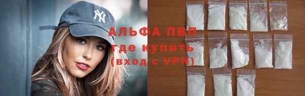 a pvp Белокуриха