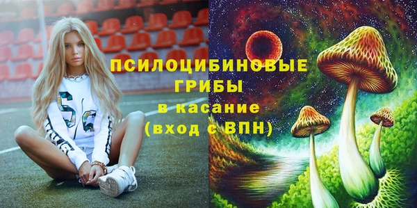 прущие крисы Беломорск