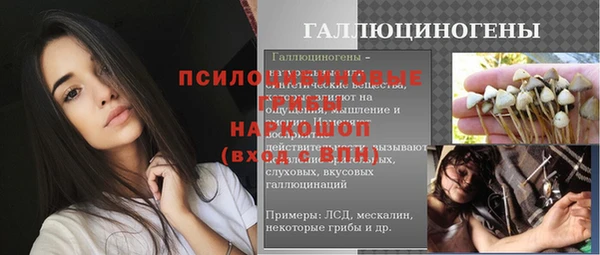 a pvp Белокуриха