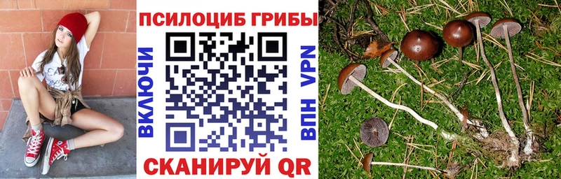 Галлюциногенные грибы Psilocybine cubensis  где можно купить наркотик  Бежецк 